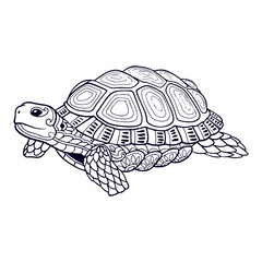 Fototapeta premium Beautiful Turtle Mandala arts. isolated on white background.