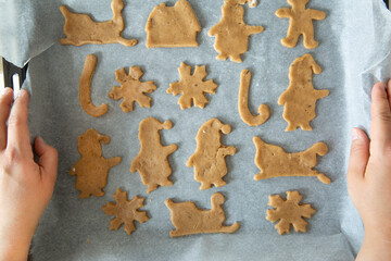 Female hands holds the bakery tray with Christmas gingerbread cookies., top view. 