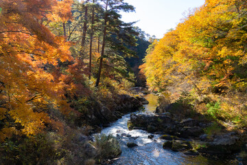 山梨県　紅葉の御嶽昇仙峡