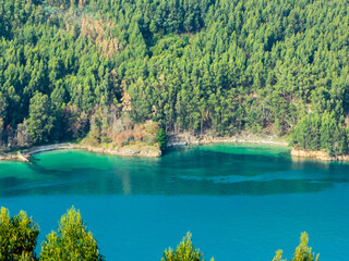 Coast with turquoise water and many trees in the background