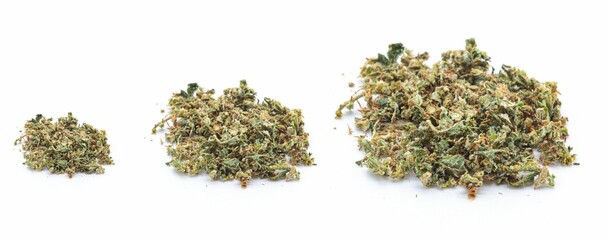 chopped marijuana isolated on white background