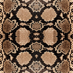 Seamless snake texture, snake skin, python pattern.