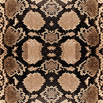 Seamless snake texture, snake skin, python pattern.