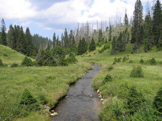 Obraz premium Footpath in the mountains