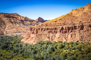 village, canyon, valley of roses, morocco, oasis, river, m'goun, high atlas mountains, north africa,