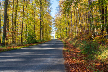 Straße im Herbst