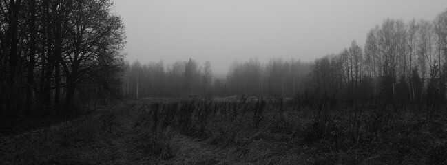 dark moody countryside scene in monochrome
