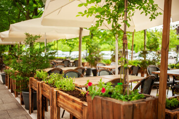 Beautiful cafe with stylish furniture and plants outdoors - obrazy, fototapety, plakaty
