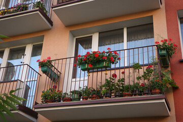Fototapeta na wymiar Balcony decorated with beautiful blooming potted plants, low angle view
