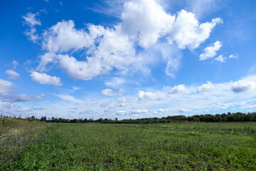 Fototapeta premium Beautiful view on blue sky with white clouds above green field
