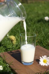 Pouring tasty fresh milk from jug into glass on green grass outdoors