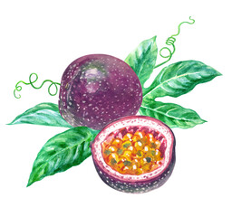 Passion fruit and leaves, watercolor illustration isolated on white background, design elements for labels, packaging, menus, etc.