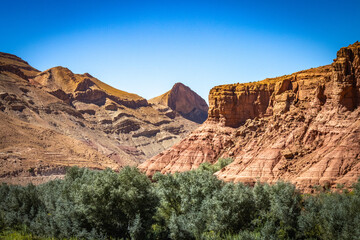Fototapeta premium canyon, valley of roses, morocco, oasis, river, m'goun, high atlas mountains, north africa,