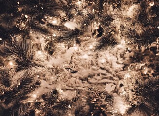 Winter room