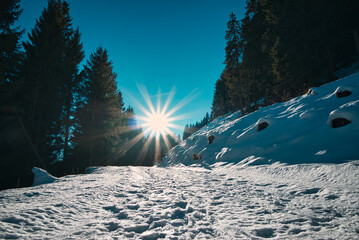 winter landscape in the mountains