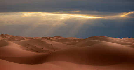 Plakat Camel caravan in the desert at sunrise - Sahara, Morrocco
