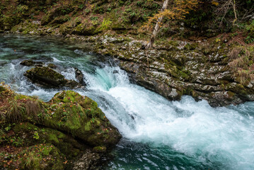Scenic wild river flowing through the Vintgar gorge in Slovenia