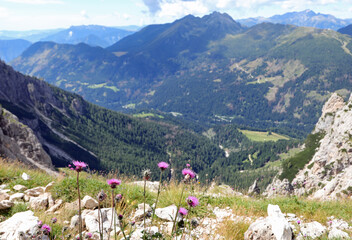 Fototapeta na wymiar panorama of the Italian alps in the Dolomites mountain group in Italy