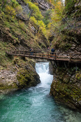 Scenic wild river flowing through the Vintgar gorge in Slovenia