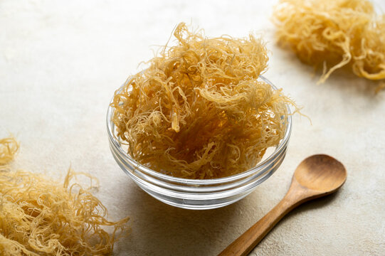 Golden dried Sea Moss, healthy food supplement rich in minerals and vitamins used for nutrition and health