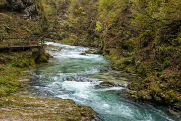 Scenic wild river flowing through the Vintgar gorge in Slovenia