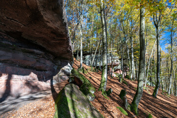 Hohler Felsen bei Dahn im Pfälzerwald im Herbst