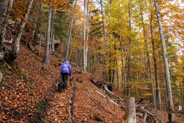 Hiking through the Vrata valley in autumn, Triglav National Park in Slovenia