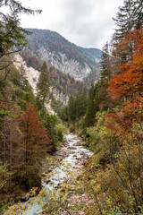 Fototapeta na wymiar Hiking through the Vrata valley in autumn, Triglav National Park in Slovenia
