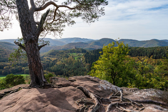 Blick vom Krappenfels auf dei Burgruine Fleckenstein und das Nordelsa&szlig;