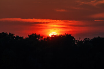The Sun hides behind the trees on the horizon during sunset. Shot with a telephoto lens
