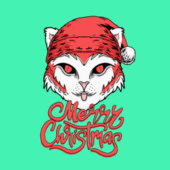 cat in santa hat for merry christmas