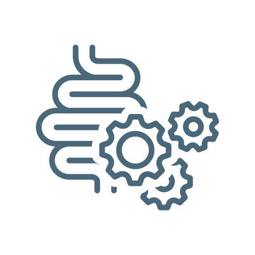 Bowes With Gear Cogwheels Vector Icon. Small Intestines With Gears Outlined Symbol.