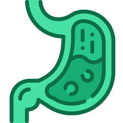 stomach two tone icon