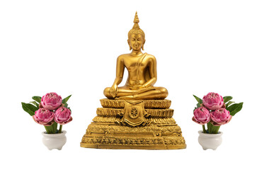 Pink lotus and golden buddha on transparent background.