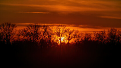 The light of the sun passes through the branches of trees without leaves on the horizon during sunset