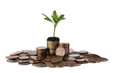 Coins with green sprout isolated on white. Investment concept