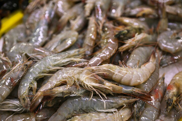 Many fresh raw shrimp as background, closeup
