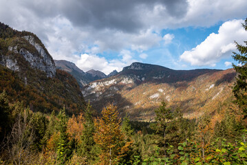 Obraz premium A wooded valley in the Triglav National Park in Slovenia