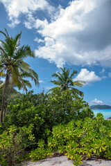 Fototapeta na wymiar Beautiful tropical beach with palm trees at Seychelles