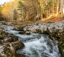 A stream flowing through the beautiful Mostnica Gorge in the Triglav National Park, located in the...