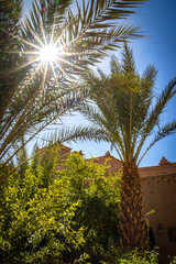 kasbah amridil, skoura, morocco, route of the 1000 kasbahs, north africa, palm trees