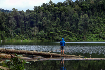 Fototapeta premium asian man with black hair in blue jacket standing on a fallen tree overlooking green tropical forest