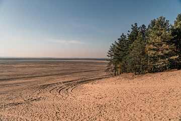Pustynia Błędowska, największa pustynia w Europie, Polska