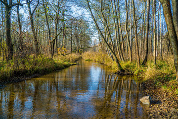 Fototapeta na wymiar krystalicznie czysta rzeka w lesie na Śląsku w Polsce jesienią