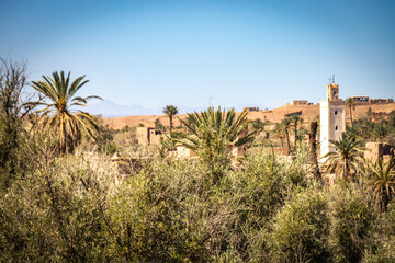 kasbah amridil, skoura, morocco, route of the 1000 kasbahs, north africa, palm trees