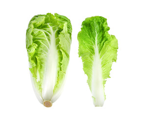 Lettuce isolated on transparent png