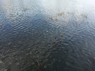 view of the water surface in the lake