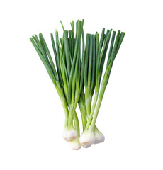 Green onion isolated on transparent png