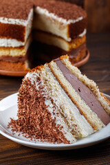 A piece of tiramisu cake on a white plate.