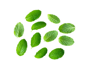 Fresh mint leaves isolated on transparent png